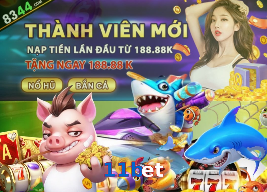 11bet